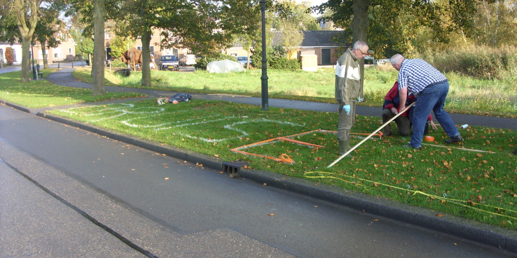 Krokussen planten | Dorpsraad Hoornaar