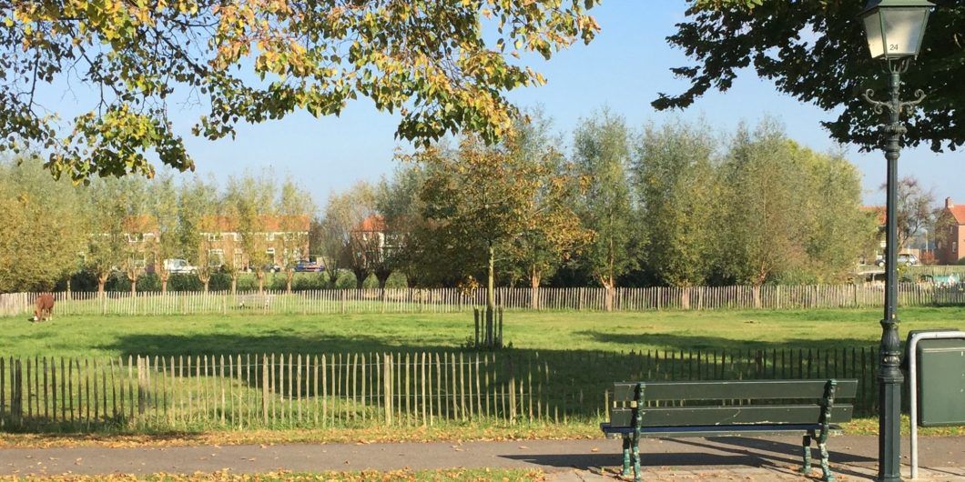 De Wielen vanaf Dorpsweg gezien | Dorpsraad Hoornaar